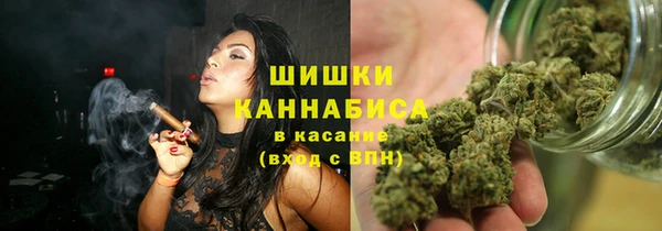 индика Аркадак
