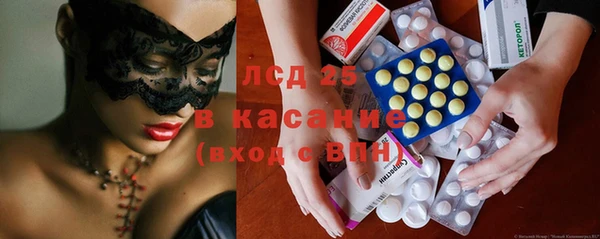 индика Аркадак