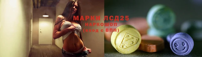 индика Аркадак
