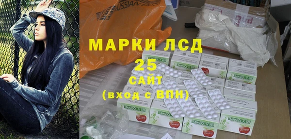 индика Аркадак