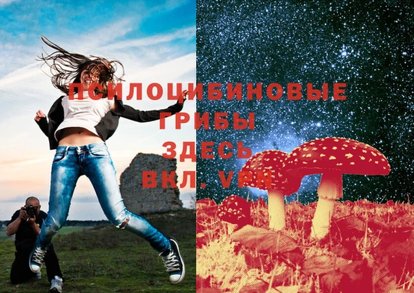 ГАЛЛЮЦИНОГЕННЫЕ ГРИБЫ Армянск