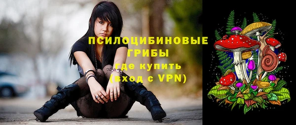 индика Аркадак