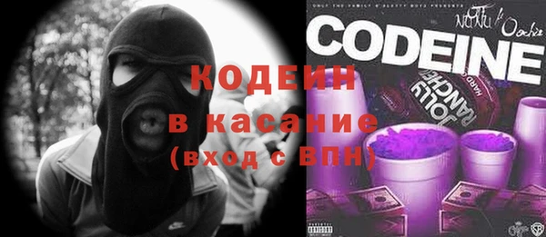 индика Аркадак